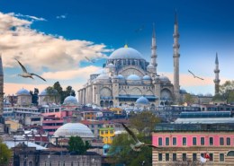 اجراءات السفر