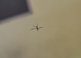 السلام عليكم بغيت مكان يصلحون الزجاج المكسور.