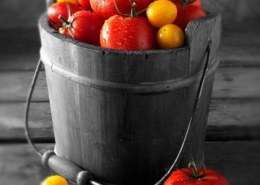 السلام عليكم حابة استفسر عن دوارت تصويرية حق منتوجات واغذية