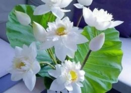 بغيت استفسر اذا اني متخرجة من الثانوي من فترة وحابة …