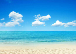 للموظفين في المول ، مراكز المبيعات ، يرجى إرسال سيرتك …