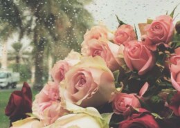 ابي مطعم اقدر احجز فيه غرفه لشخصين مع ديزاين الغرفه …