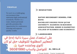 على استعداد لتصميم سيرة ذاتية (cv) بطريقة احترافية ومرتبة للمعاير …