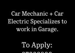 Wanted Employees.. Car Mechanic and Car Electrician for work in …
